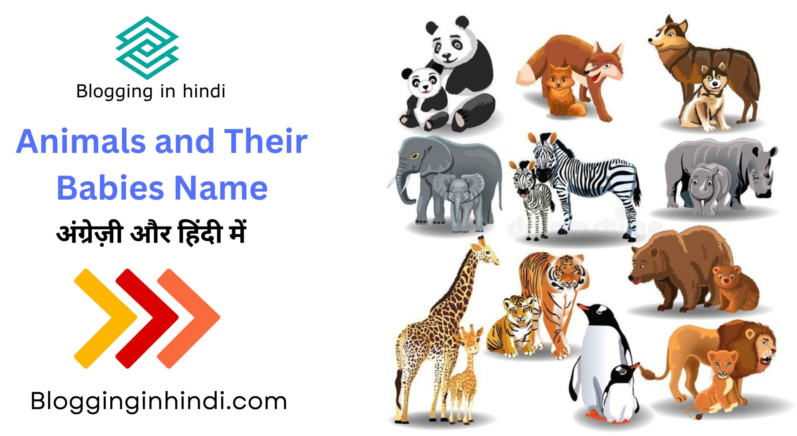 Animals and their babies names in English and Hindi