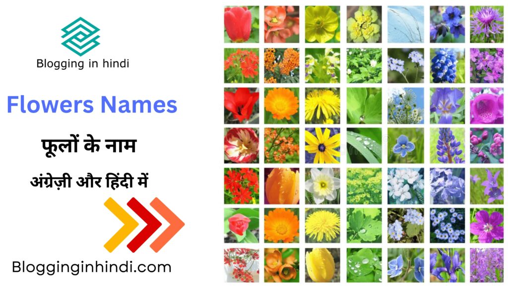 Flowers Names in English and Hindi