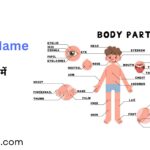 Body Parts names in English and Hindi