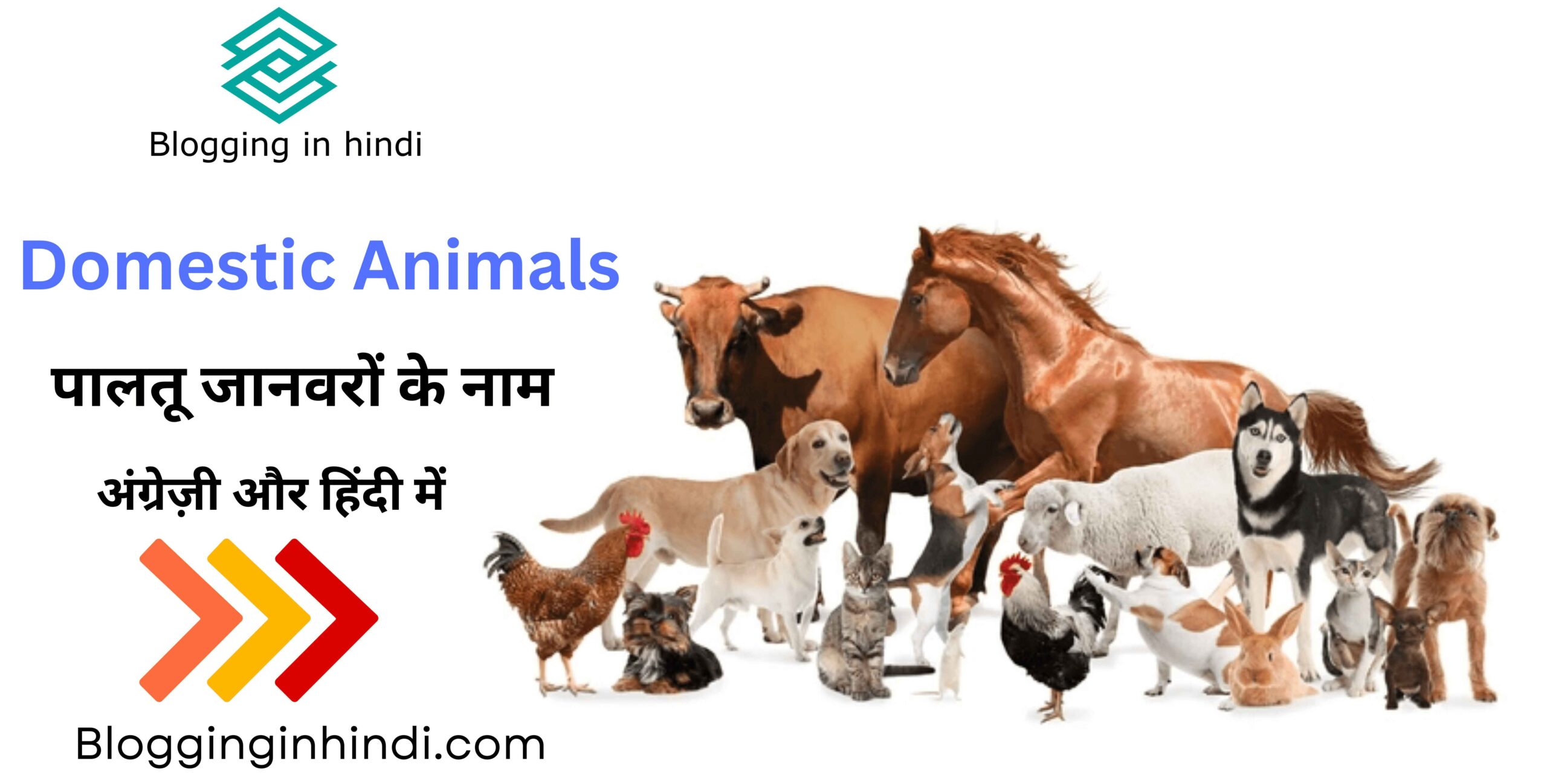 Domestic Animals Names in English and Hindi