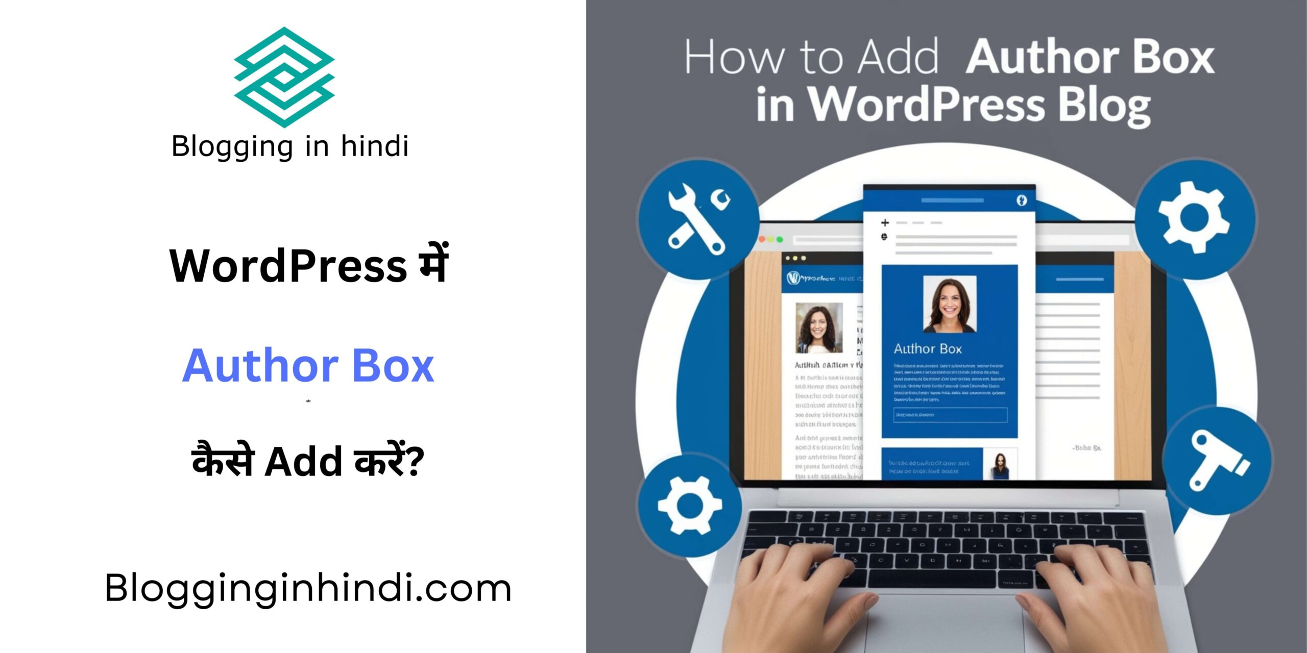 How to add Author Box in WordPress Blog