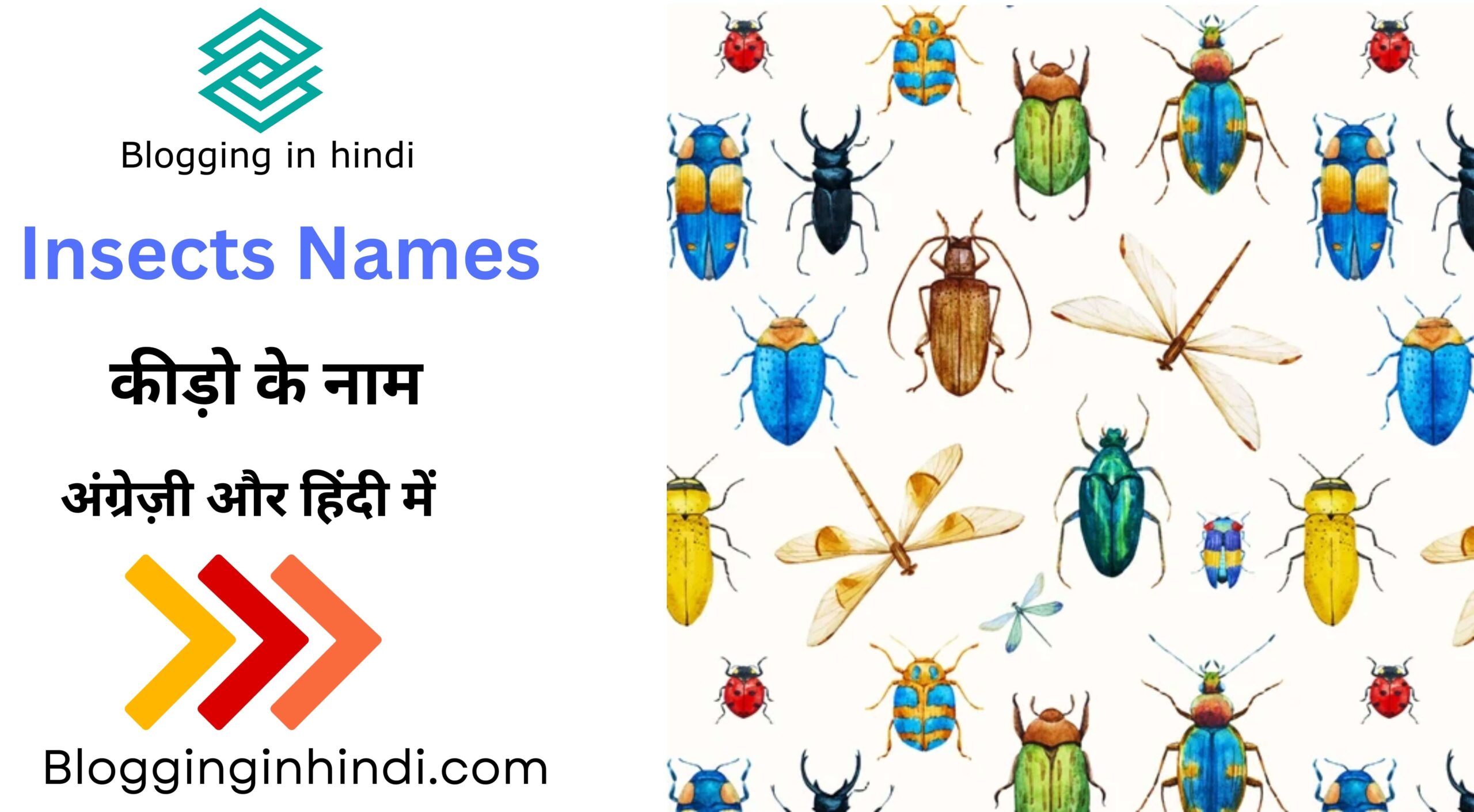 Insects Names in Hindi and English