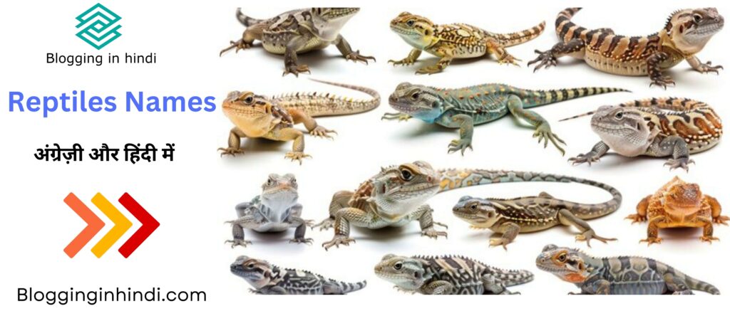 Reptiles names in English and Hindi