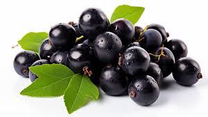 Black currant name in Hindi