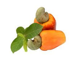 Cashew Apple name in Hindi