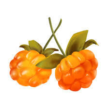 Cloudberry Name in Hindi