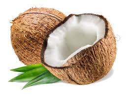 Coconut Name in Hindi