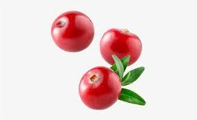 Cranberry Name in Hindi