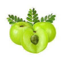 Gooseberry Name in Hindi