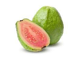 Guava Name in Hindi