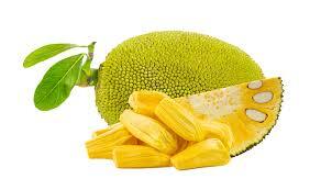 Jackfruit name in Hindi