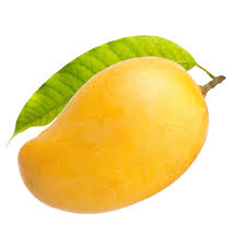 Mango Name in Hindi