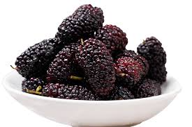 Mulberry Fruit name in Hindi