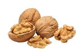 Walnut Name in Hindi