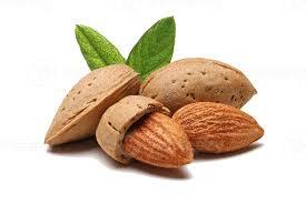 Almond name in hindi